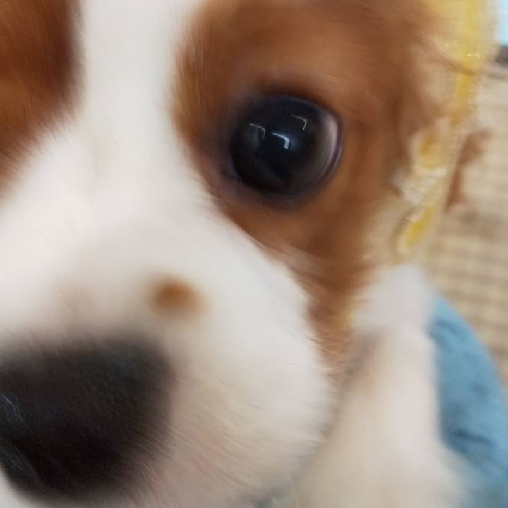 E8aa6a9a c6cc 4ab8 aa02 ce8838be8016 1571526798571