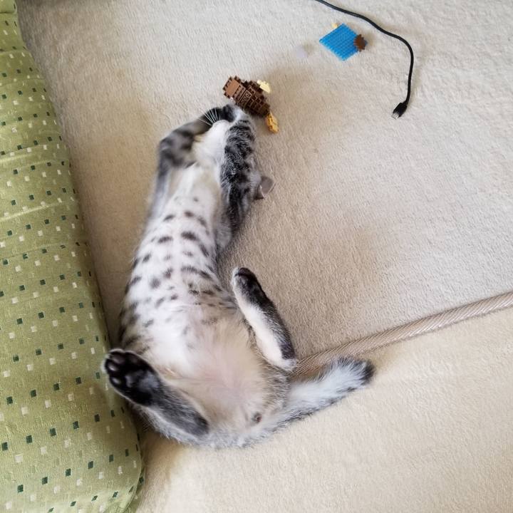 E8aa7313 55c9 4973 8d8f 2c1615ad93a3 1664809188960