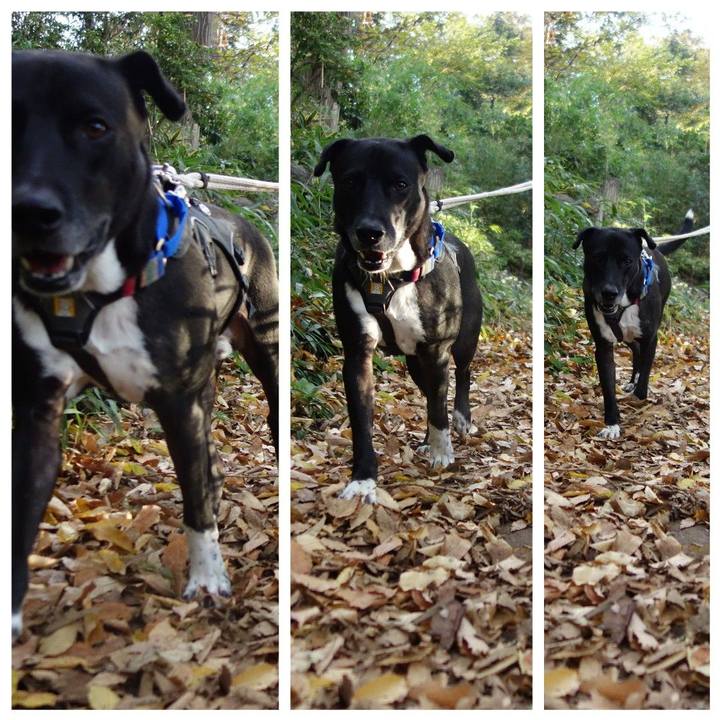 E8aa7f63 d711 4981 95c0 2347b87be8af 1638143535854