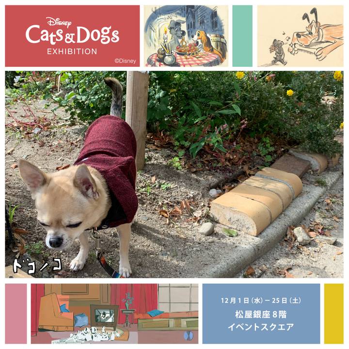 E8aa8006 671c 4859 b4bb 2bc8e9109d17 1638519999518