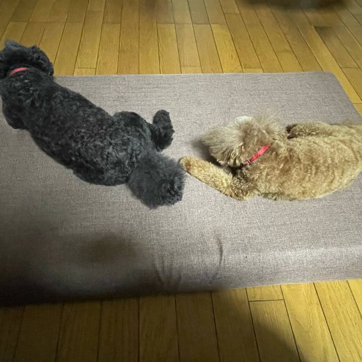 E8aa8647 5d93 466e b3e4 7ef685abb86d 1692020704233