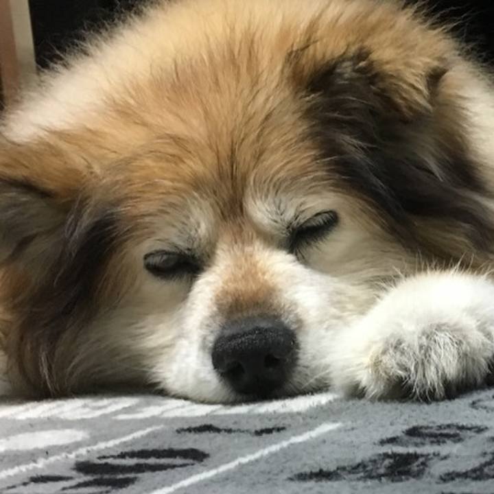 E8aab2bd e4ad 4c24 8e9f da1314adc4bd 1588633379112