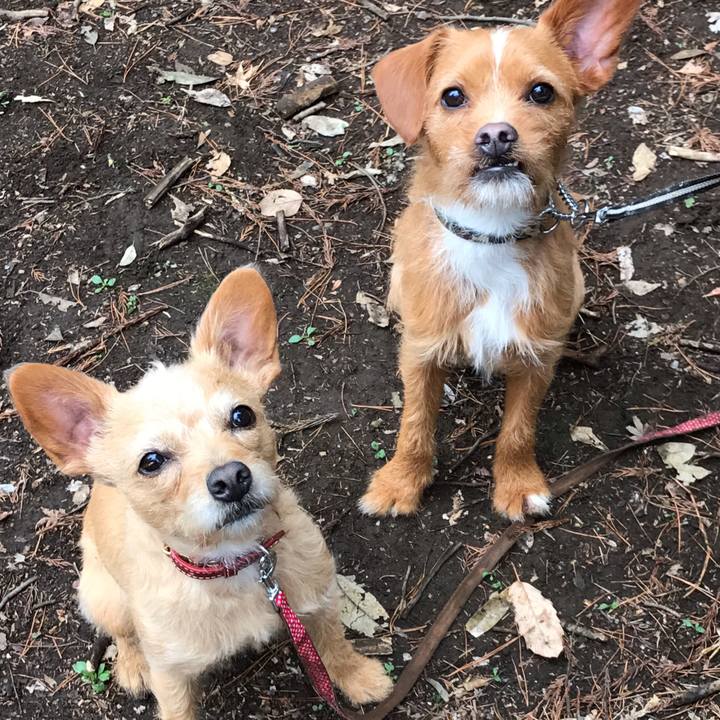 E8ab0f5a ab93 49e0 b5d4 1a0b802a72e3 1554072014844