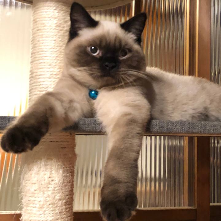 E8ab3cfe c671 44c8 b0a0 d739f4fd8d5a 1594685582973