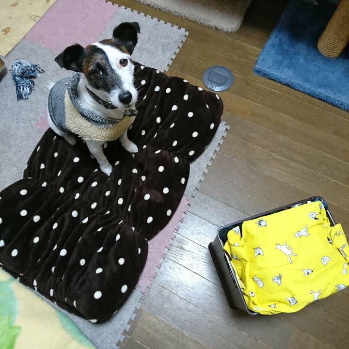 E8ab69c5 2868 44e9 a79f 078f73224214 1514690679642