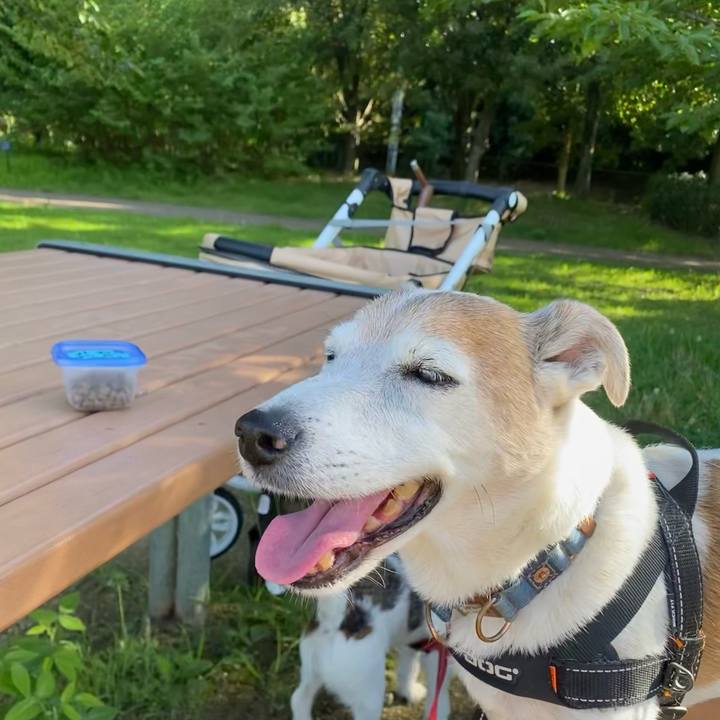 E8ab7066 f987 432d aa25 0714b7fa4783 1626489531733