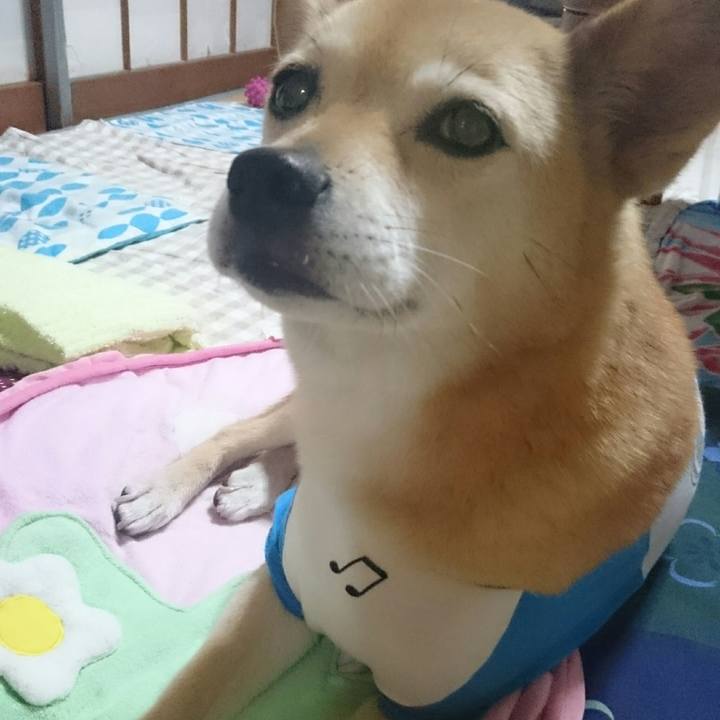 E8ab8a4c 8a0c 4b01 8b39 8075fbac892d 1530109642633