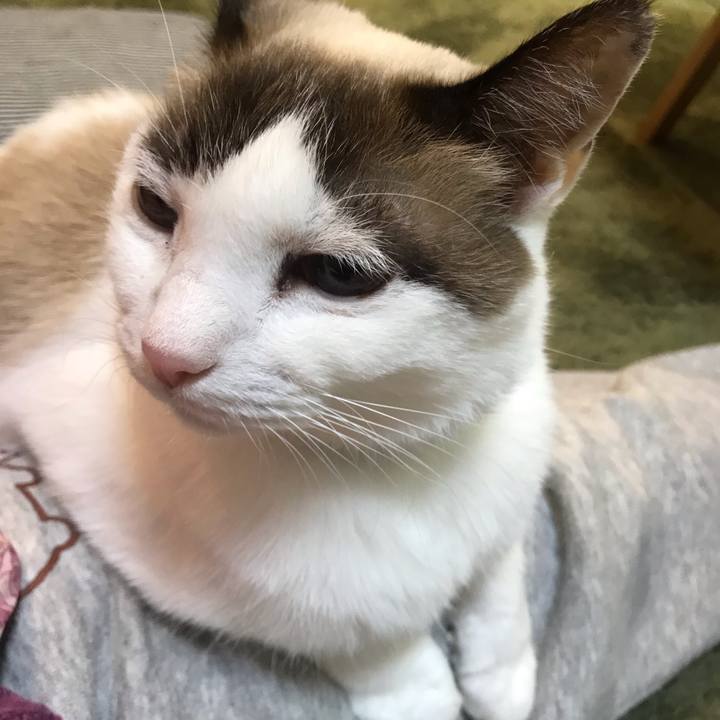 E8abd7c6 32cd 45b2 98af 192578a97ea5 1608210706146