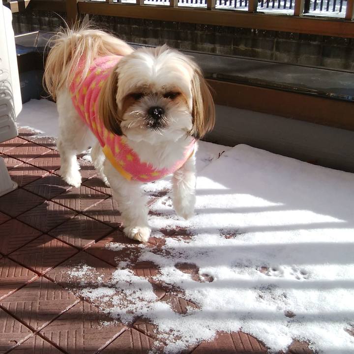 E8abf3cb 63a0 4c8b 8a73 aa71739860c8 1516843757733