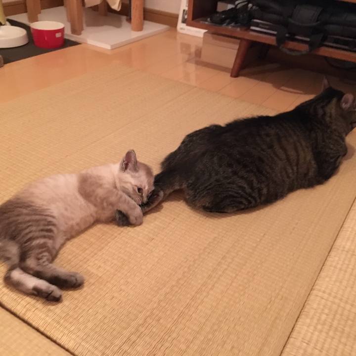 E8abff5b 1b21 47f5 bb48 1575ea189328 1531883059426