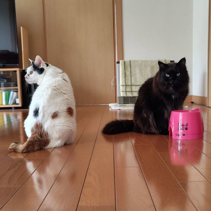 E8ac3689 9bb7 4f34 a97c bb921d7834a5 1717217846180