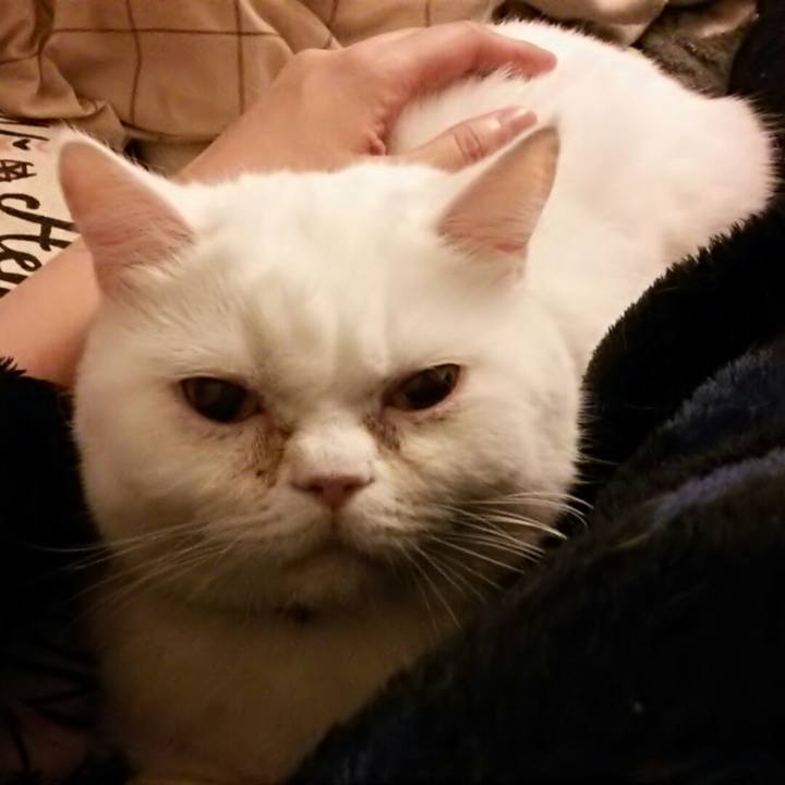 E8ac3d32 0324 4337 8426 ddd59dc51ae7 1523652216935