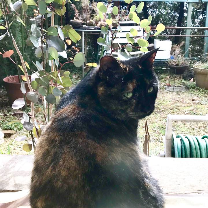 E8ac9d23 24ac 4ec6 8451 0a30e165909c 1517970413611