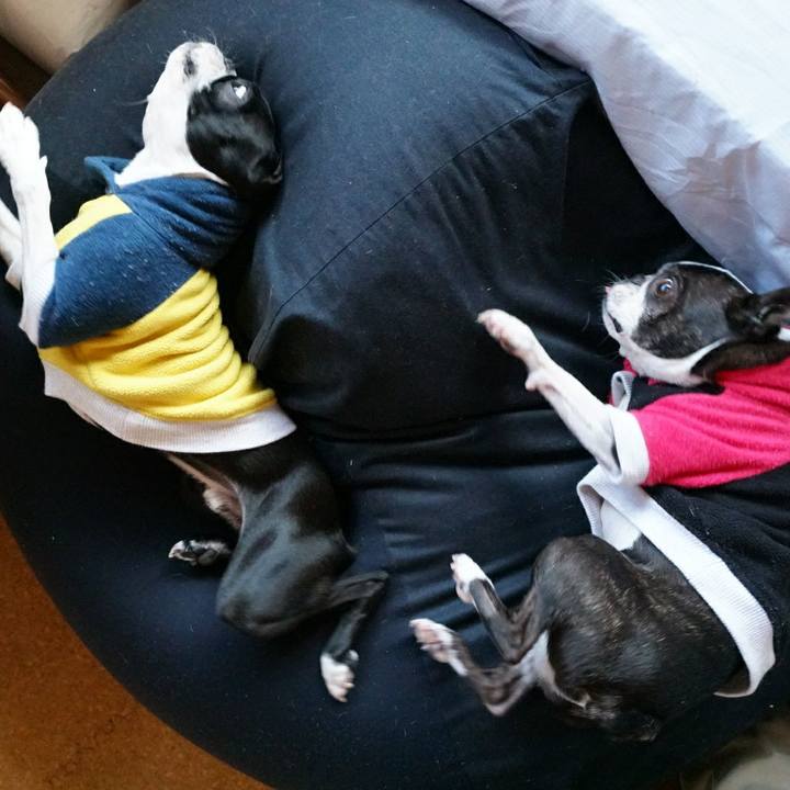 E8aca904 f2b7 4d00 8ff1 998144286605 1510804910502