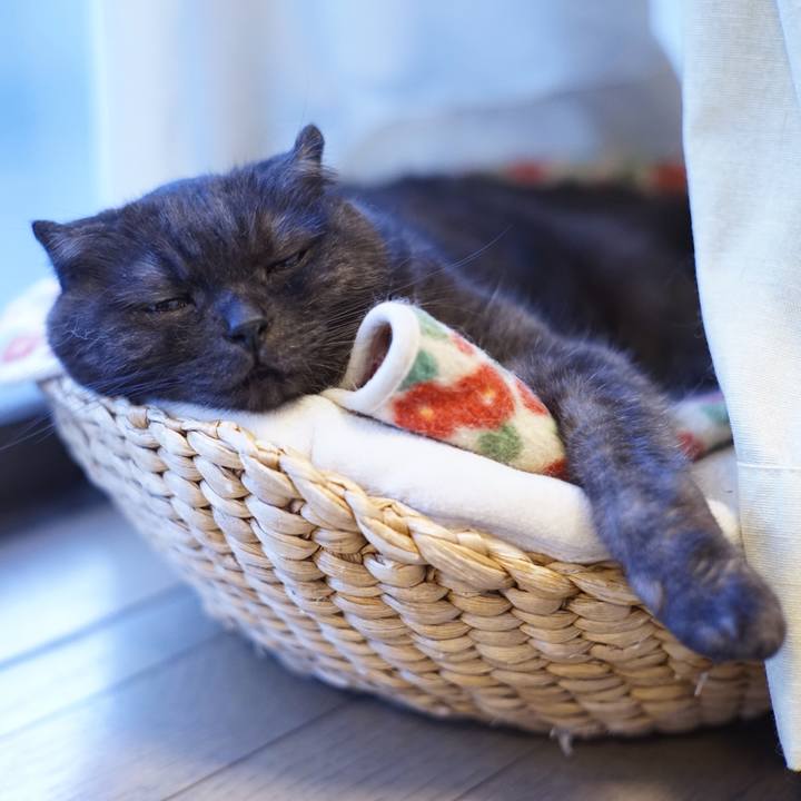 E8acb423 a8f6 4719 8662 bdbeb0a7e51b 1628676814583