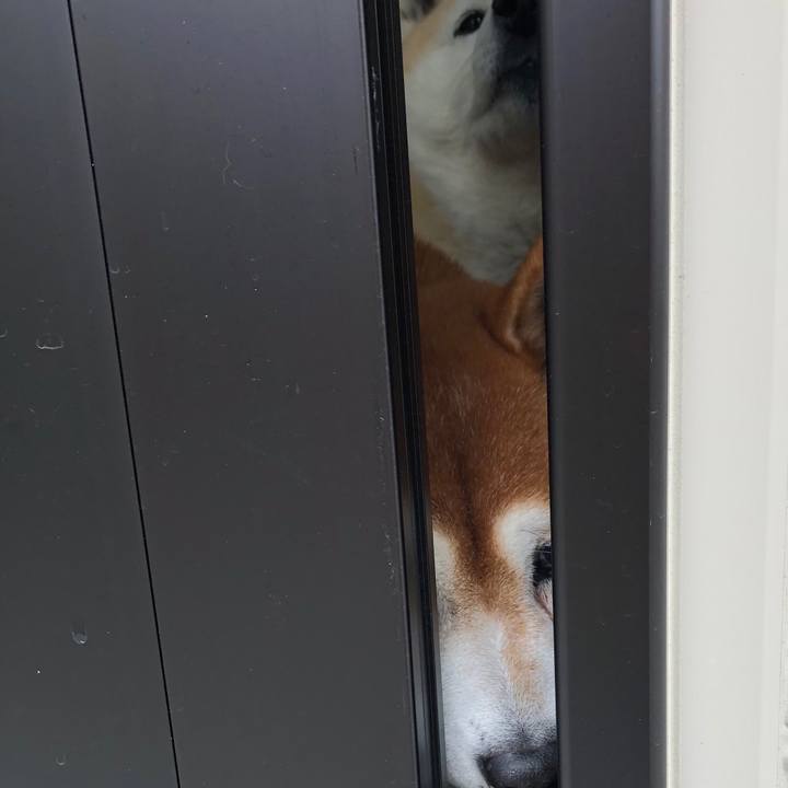 E8acb8ec f666 4eb2 9831 36baa61d423a 1545479403124