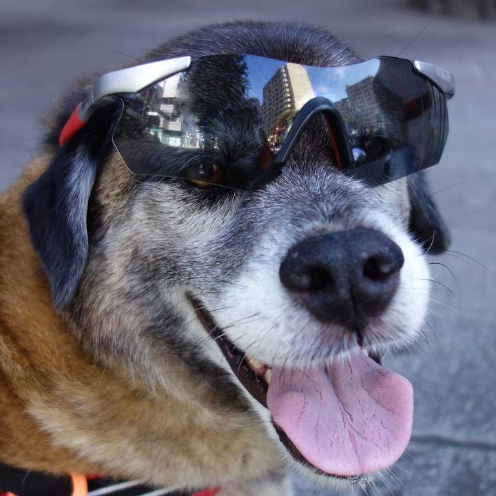 E8acc15b 290a 4955 8b9f 4daaaf240f3b 1530409612725