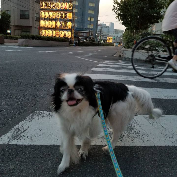 E8acd809 2444 49bb a229 ce9084942f9c 1530528282148