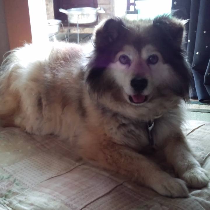 E8ace97c 72a1 45c2 bc83 464eb2498f14 1617606189629