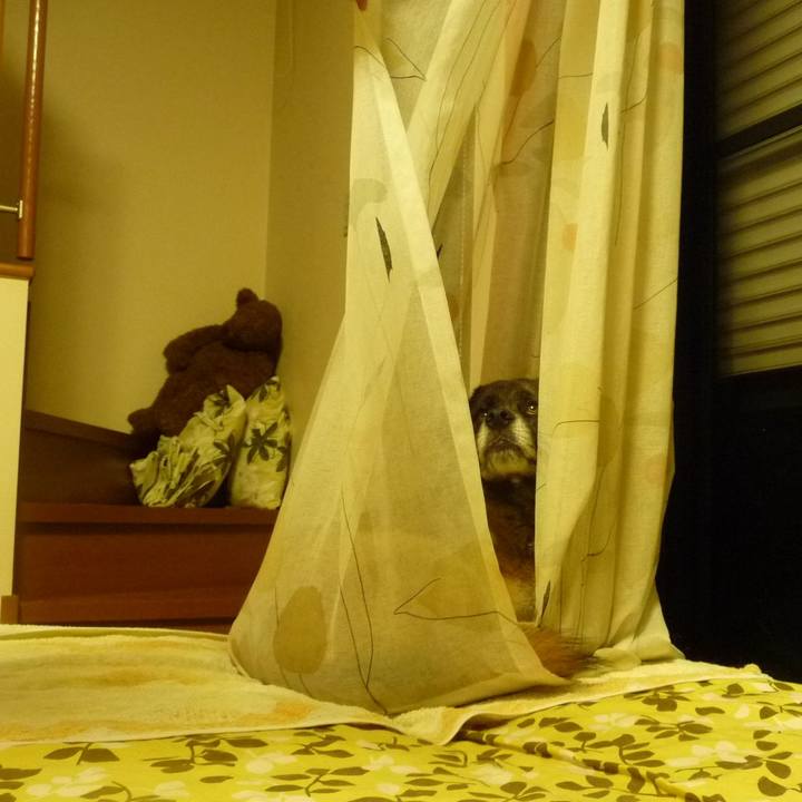 E8ad32ef 06d1 4fe1 8d89 5602930bc4f9 1578135053260