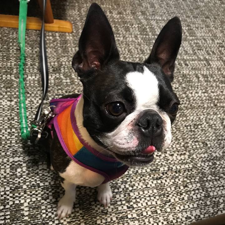 E8ad3631 c040 47c5 93f3 9998d5797244 1590655181923