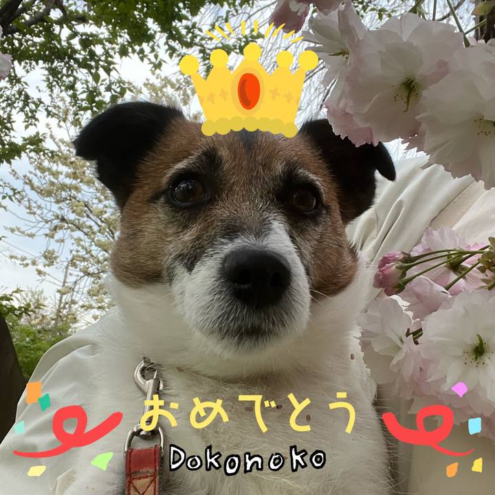 E8ad6652 a24c 4fc5 92c3 439a8106ce98 1685972290933