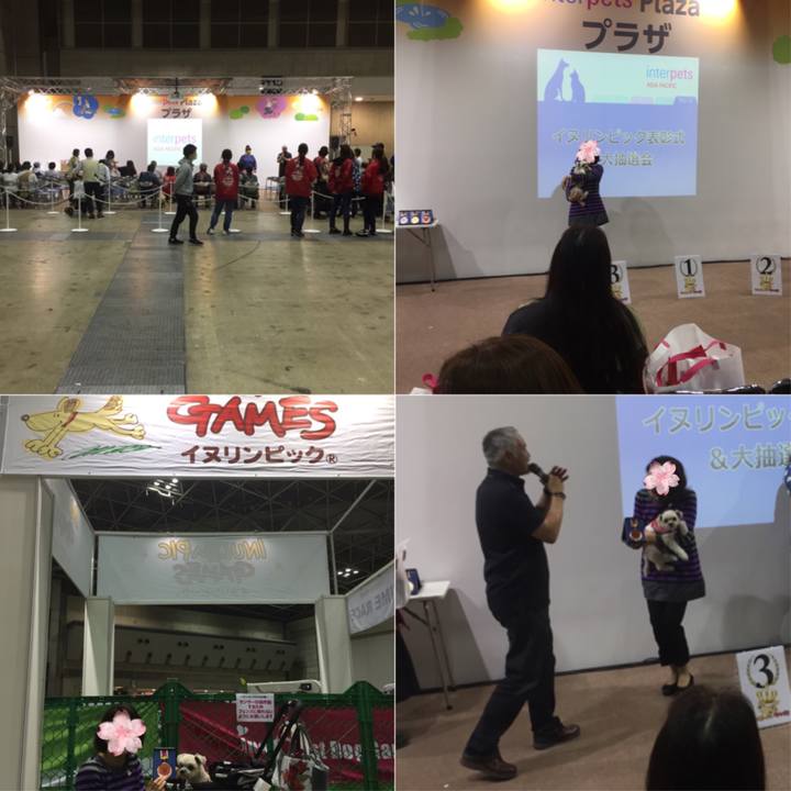 E8ad69c7 d3d4 4c9c a48d 571917fef6cc 1522668189435