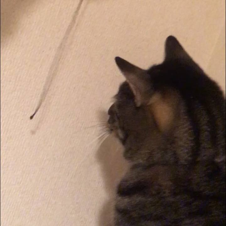 E8ad72c5 5411 47d4 a5b9 2ce835baa1d7 1577020771484