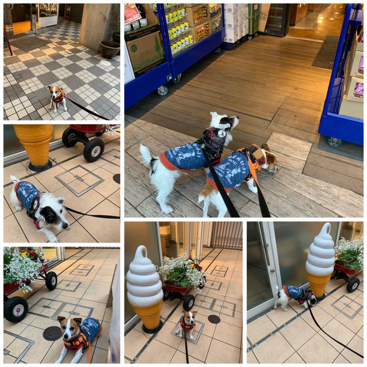 E8ad9306 1eca 41a0 9540 e40e26974879 1582968095739