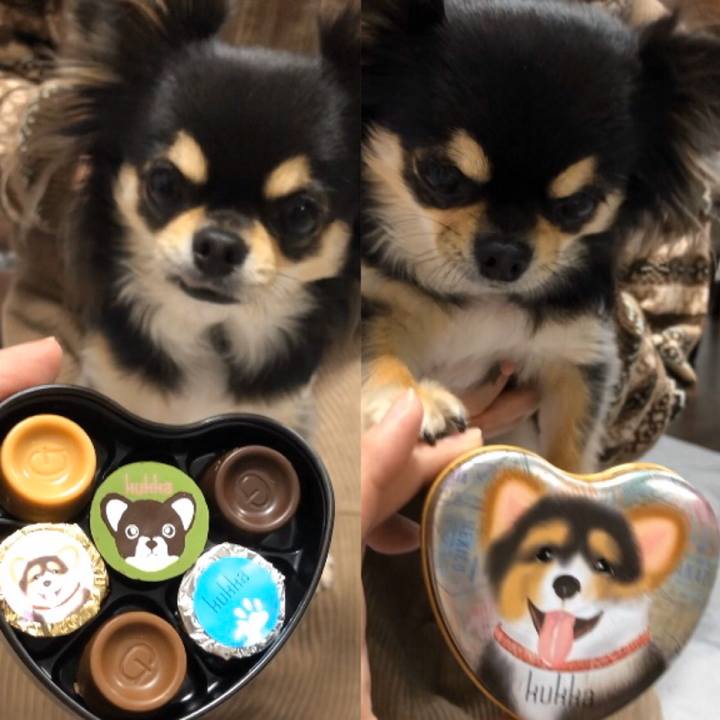 E8ada428 a692 4e7c 9607 9d69d061324b 1580772843451