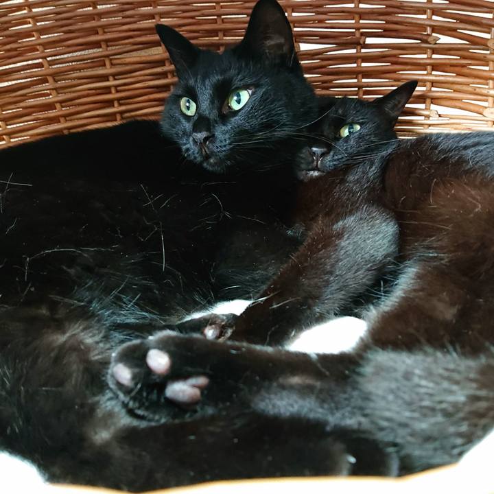 E8adca4e 208b 440f ab58 03520fed83be 1598074101690