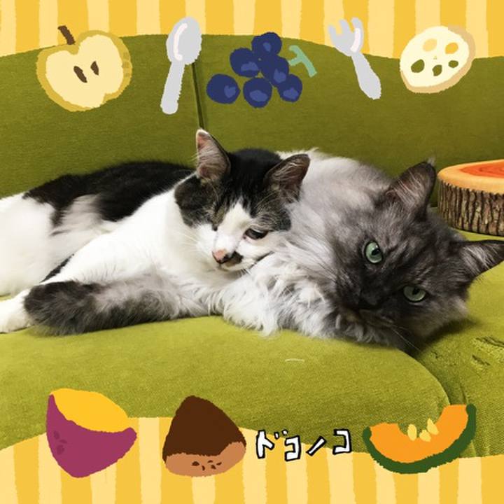 E8ae0adc 9b04 42af 9c29 0fec2e110187 1727100338683