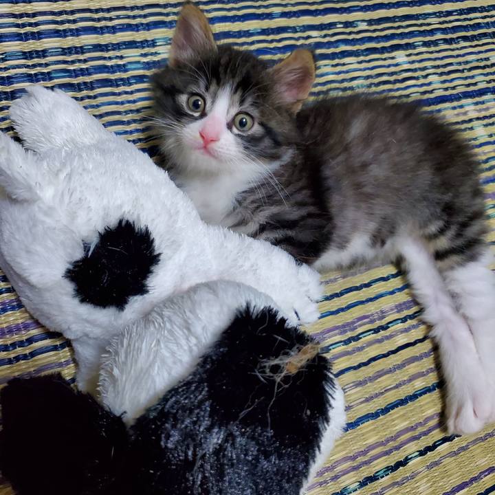 E8ae34de 8ce6 4c1d 810b 57602768bebb 1625400451160