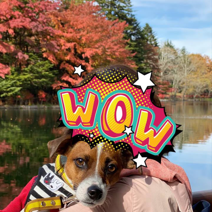 E8ae46fa bfcb 4af8 aee0 5d0a6a7a3e2d 1573131859714