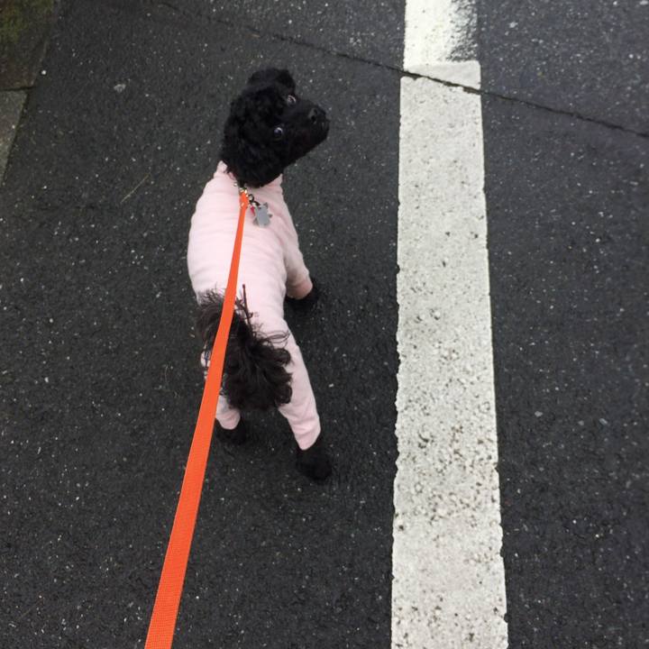 E8ae5af9 8067 41eb a7f6 e2c01c5e07a8 1508216711420