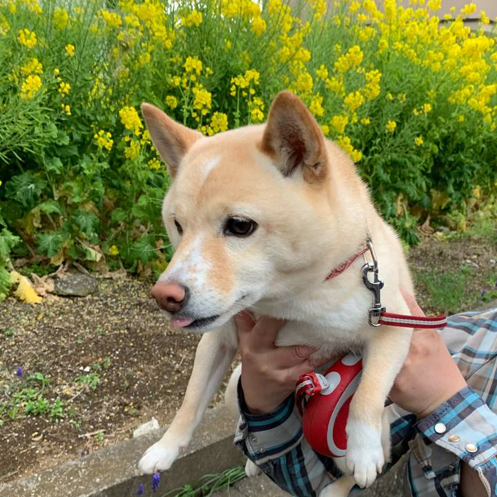 E8ae6af2 ace3 4397 87d1 75fee25b2499 1616885737003