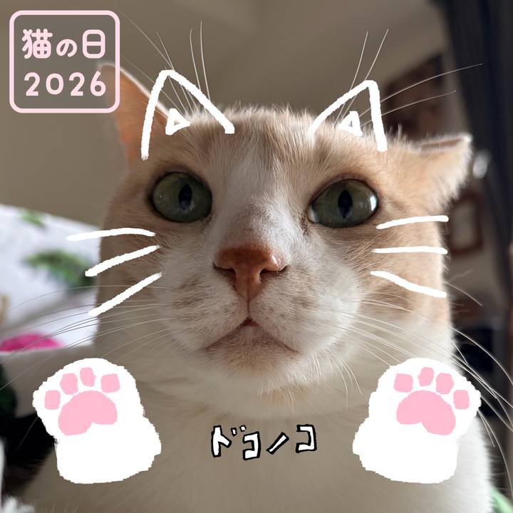 E8ae6db0 de6a 48ea 8ee1 c5c4b7534d49 1771749404388