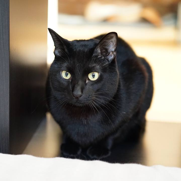 E8ae7014 d5f3 4833 891c a24abb30d46b 1548113391765