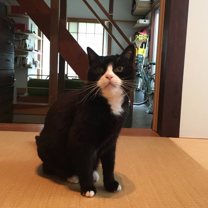 E8ae9bf4 8f77 4f8c 801e b4b27d9f67e2 1562718489614