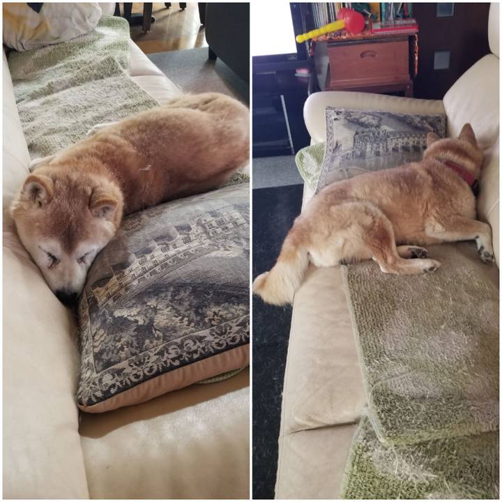 E8aec5e8 e912 4267 ab35 95cb7bac4ac2 1773879992260