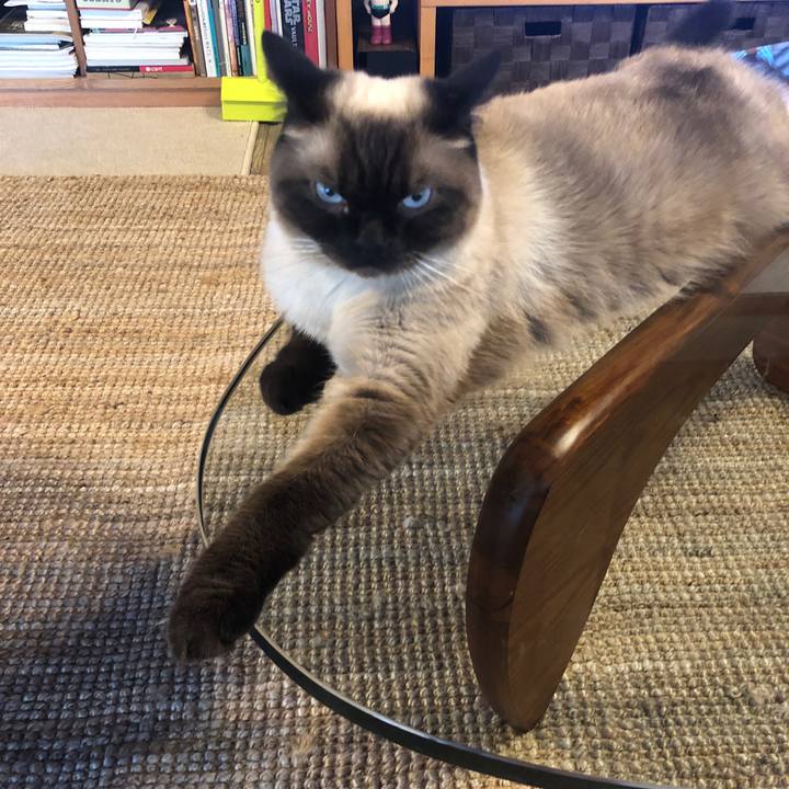 E8aee8b0 4fda 4025 9233 503dbeeb5f0a 1626734852163