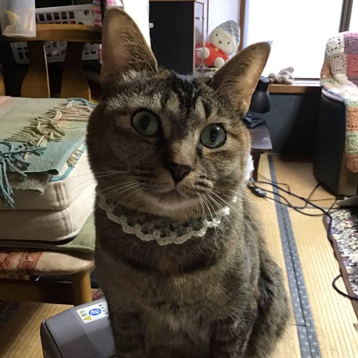 E8aef57c e9e0 4f78 a7c5 02f2a89769a3 1646348168045