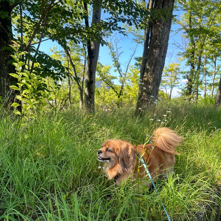 E8aefe5f dc84 4c52 845c 643f3531bfee 1688873341569