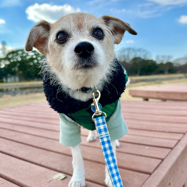 E8af518f 4f69 4fe5 a82e e9f02340faaf 1707561604564