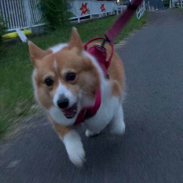 E8af638e 3ee0 4677 9344 e561f4359fd1 1664355848650