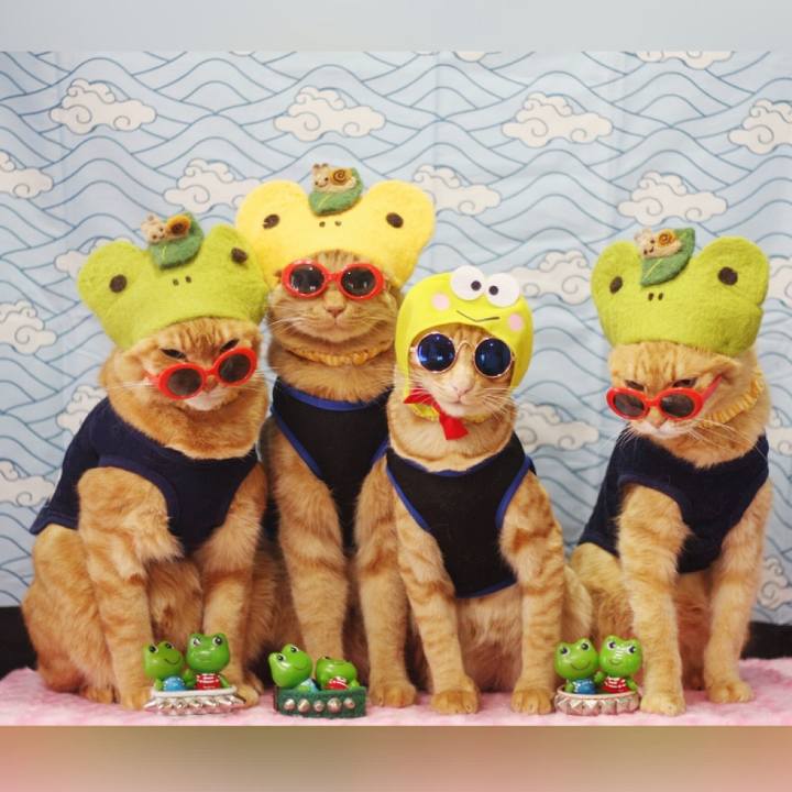 E8af69eb 10aa 4938 a2d4 7ff377178f79 1686317423978