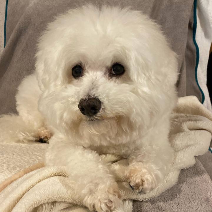 E8af6b5b 8780 4a12 8c8e b5f43340fce2 1610533526675