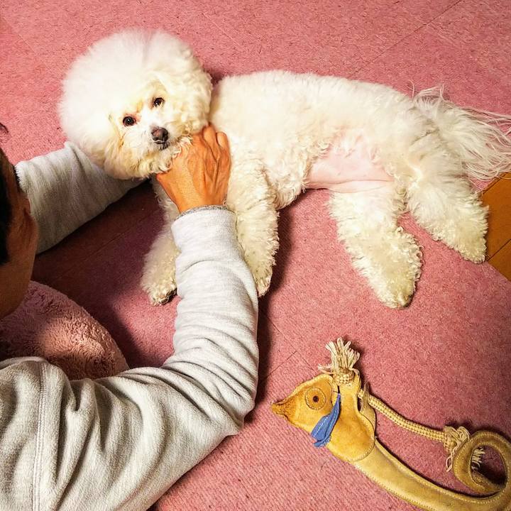 E8af8a90 f5a4 4a6d ba61 637ae24ffb69 1550398724874