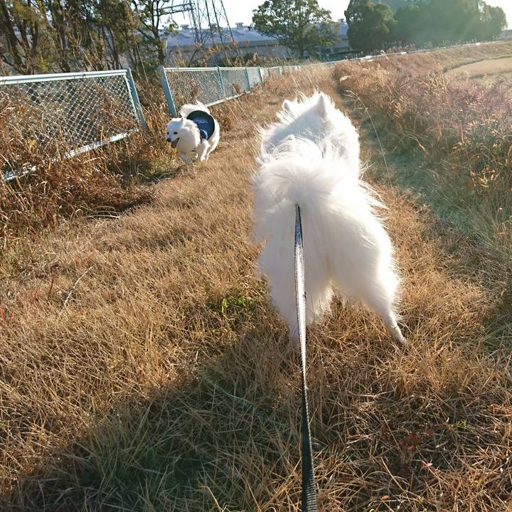 E8af9f11 d01c 46dc 930a 5ca98a033101 1579072460175