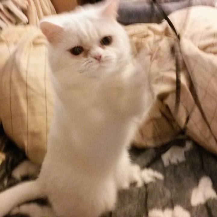 E8afbc50 1040 4840 99a0 5cd8d49dba22 1520119087932